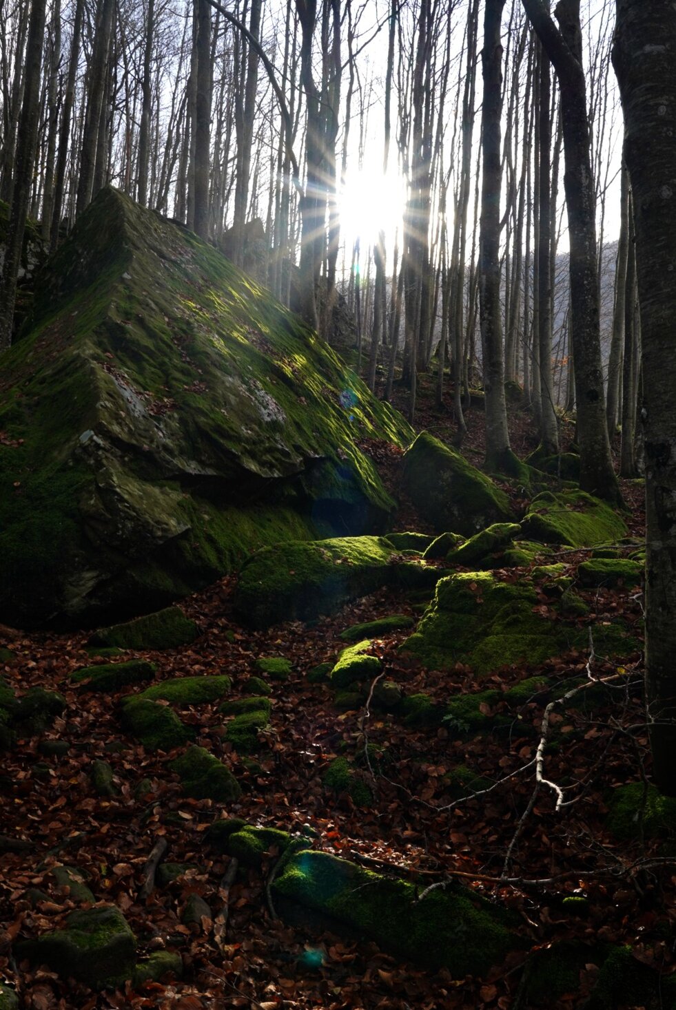 361b3fb1-3bae-446c-9034-13f9af794603 361b3fb1-3bae-446c-9034-13f9af794603