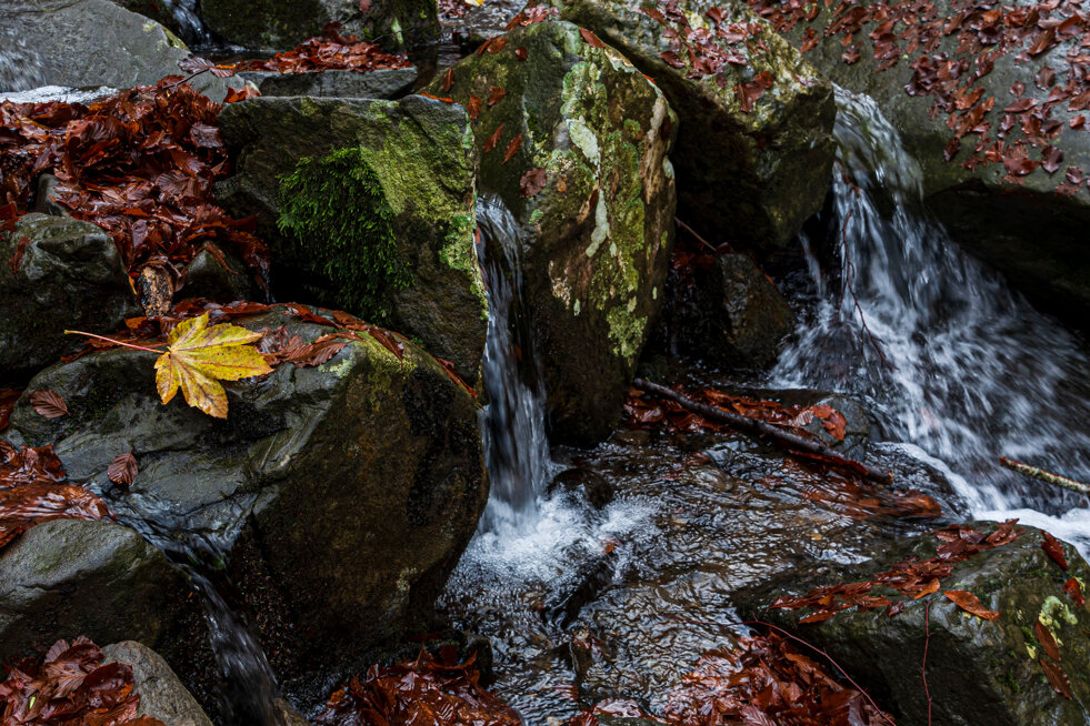 fa9ba176-f884-4ed7-9038-e4dfcf1315ea fa9ba176-f884-4ed7-9038-e4dfcf1315ea