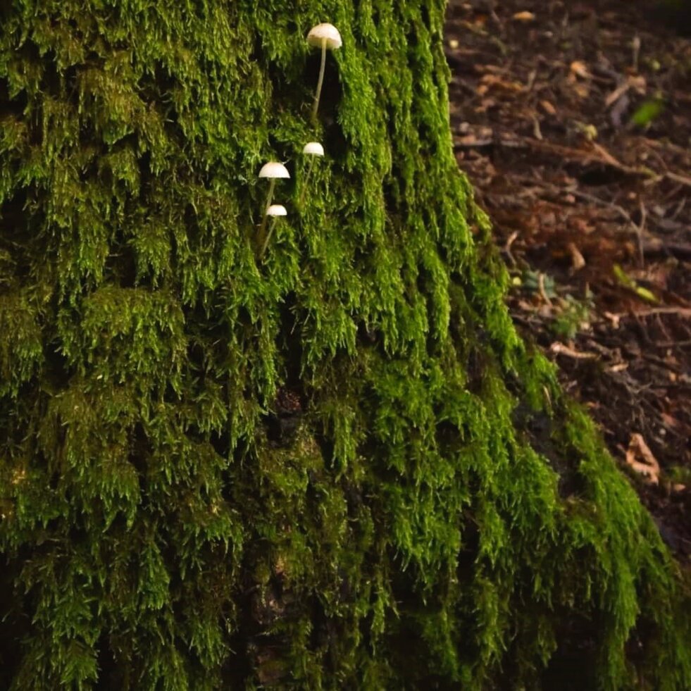 db4a2fd0-d980-417a-8171-1dc4a30e2df5.jpeg db4a2fd0-d980-417a-8171-1dc4a30e2df5.jpeg