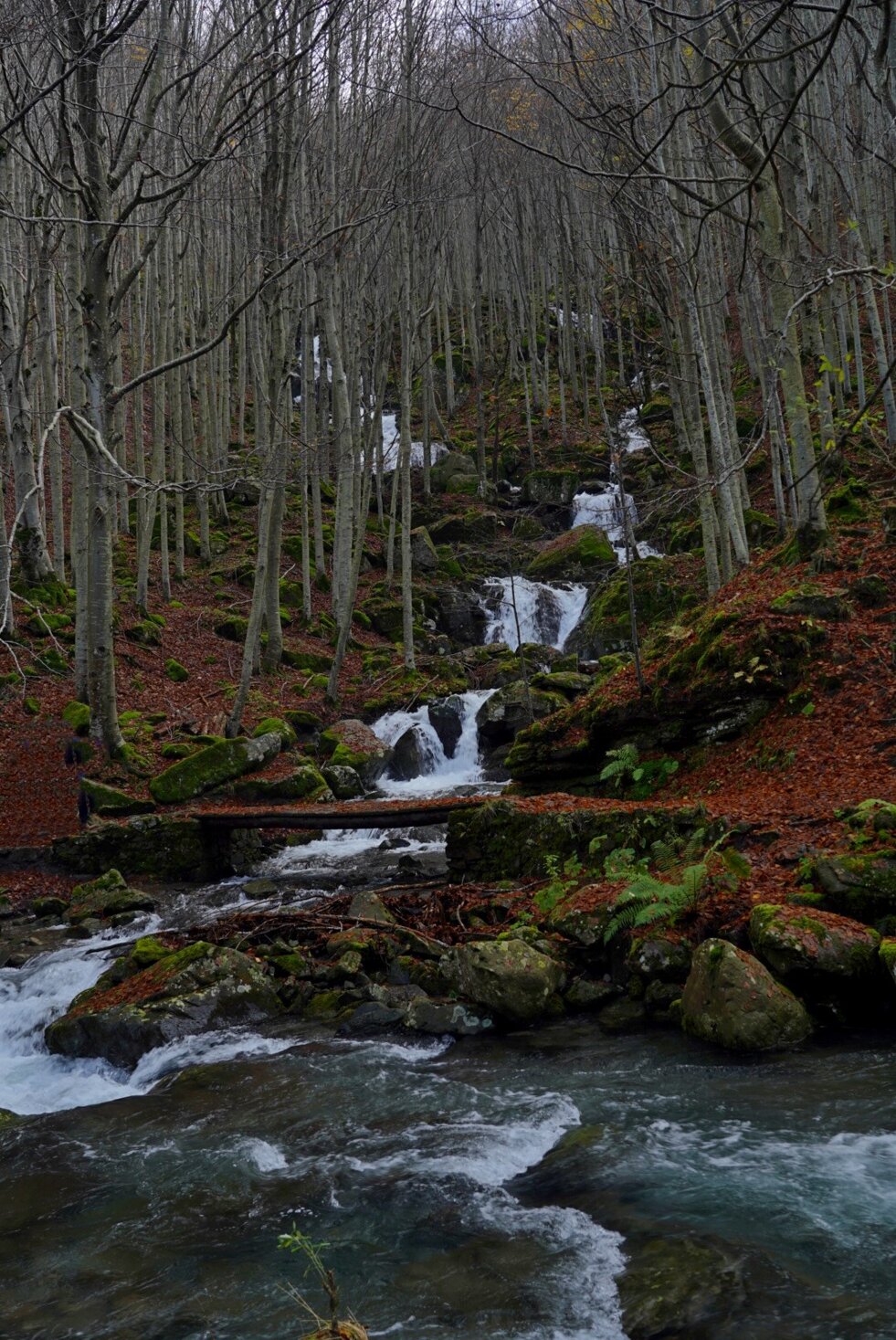 292c99bd-0520-4338-9c05-a35797d86271 292c99bd-0520-4338-9c05-a35797d86271