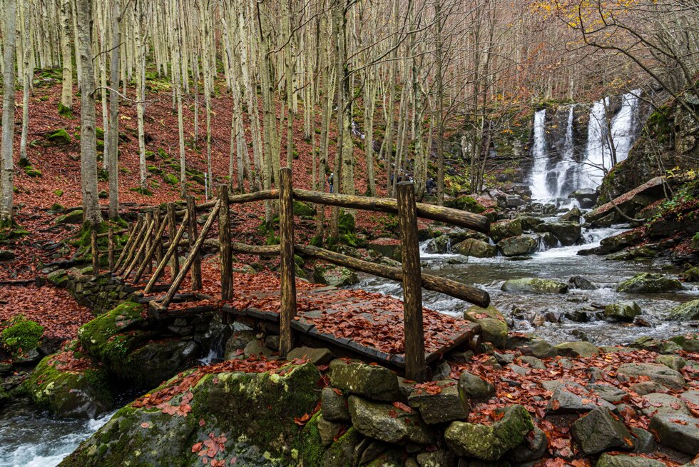 144c0197-daf6-4401-9f97-e1f31ada5a28 144c0197-daf6-4401-9f97-e1f31ada5a28