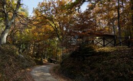 dsc06728.jpeg dsc06728.jpeg