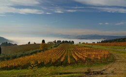 05_dsc7841.jpeg 05_dsc7841.jpeg