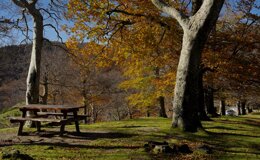 dsc06733.jpeg dsc06733.jpeg