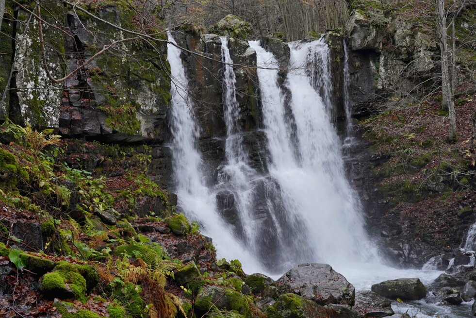 c1b5d989-5f7b-48ed-9bbf-78d7dd682228 c1b5d989-5f7b-48ed-9bbf-78d7dd682228