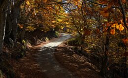 dsc06576.jpeg dsc06576.jpeg