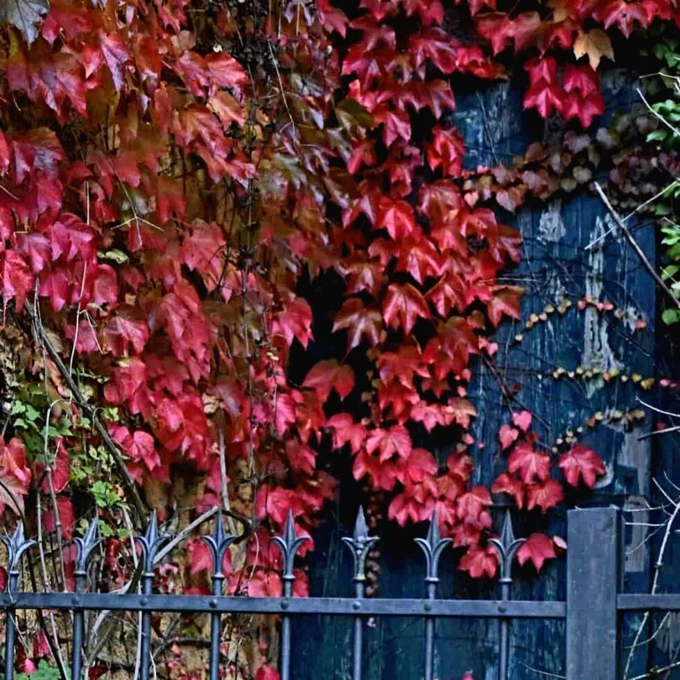 b4776c73-9e19-4edb-9815-d4673f5419cb.jpeg b4776c73-9e19-4edb-9815-d4673f5419cb.jpeg