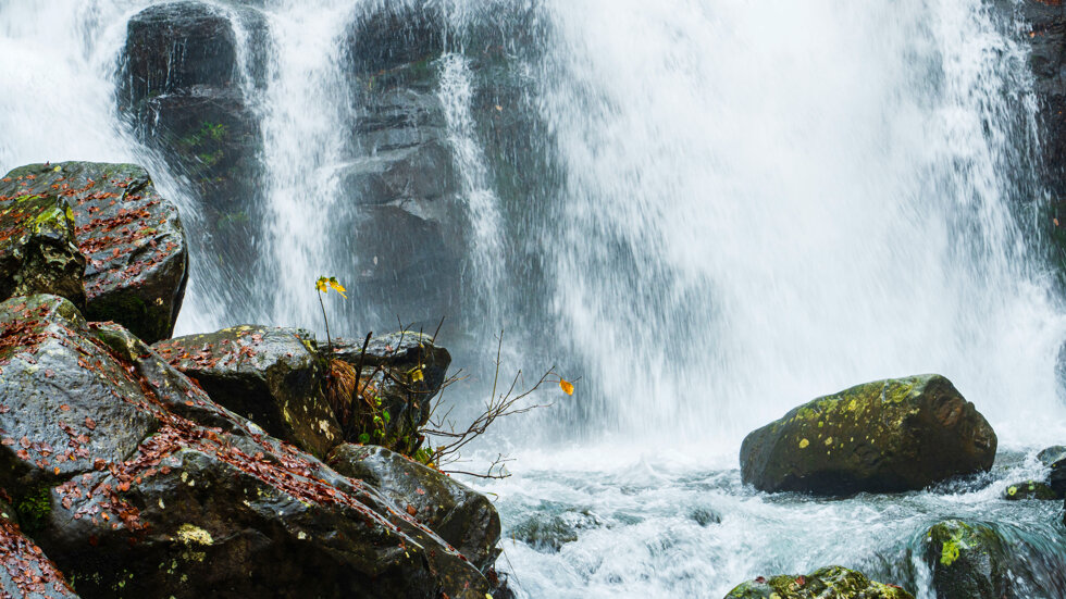 67f9c29c-b2b9-40bc-ad2b-434c5e718e8b 67f9c29c-b2b9-40bc-ad2b-434c5e718e8b