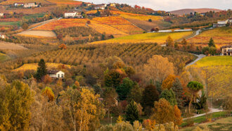 05_dsc7841.jpeg 05_dsc7841.jpeg