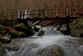 e8c5cd53-2c7a-481d-a61f-b6d269c65d2c e8c5cd53-2c7a-481d-a61f-b6d269c65d2c