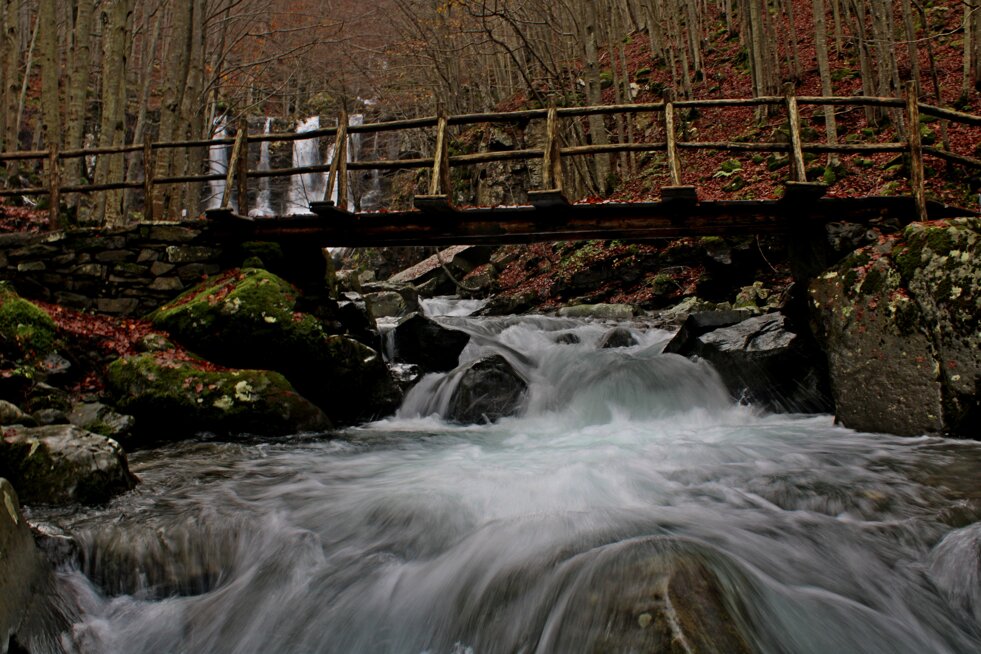 e8c5cd53-2c7a-481d-a61f-b6d269c65d2c e8c5cd53-2c7a-481d-a61f-b6d269c65d2c