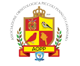 c647ad0d-2d7a-4d0e-8fbe-6924e92a1285