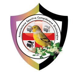 a2e068e7-dcd1-4bc4-affe-88e04cfe3d5d
