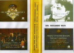 senza titolo - 1.jpeg