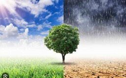 81d09102-5d58-437a-868e-75378b12a25b