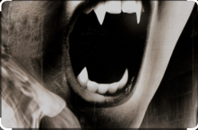 d68e7a2e-1c6c-4aa3-b601-4e6da0b03ba1 d68e7a2e-1c6c-4aa3-b601-4e6da0b03ba1