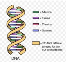 27606399-390f-456e-bed9-bb0249a932c1