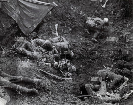 2bed3144-7274-44f8-987a-5b5492a6b800