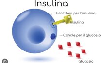 20570a1b-dd2d-4fe2-878f-3bd2e30b175a