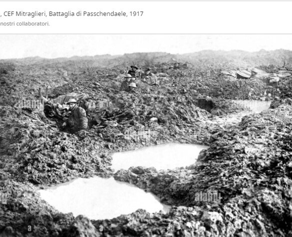 42e62527-3fbc-4a3b-9fb2-95e02ab75bb7