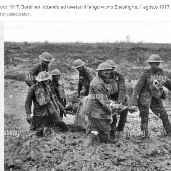 9861646d-e788-4c7a-bda3-46194af649b9