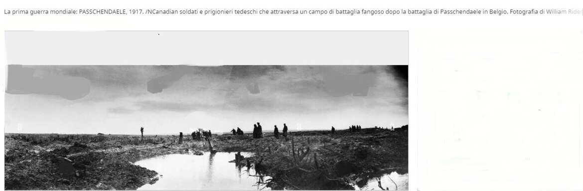 24721003-6309-447c-98f5-9621e4d1e31e