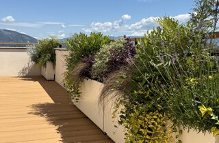 57473.jpeg 57473.jpeg