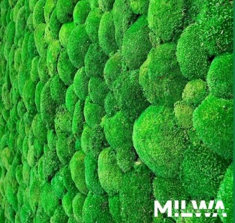 immagine 2025-11-24 121320.jpeg