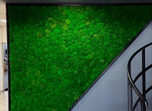 immagine 2025-11-24 121320.jpeg