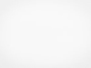 270c9381-066f-4249-90f0-2c8a217d0837 270c9381-066f-4249-90f0-2c8a217d0837