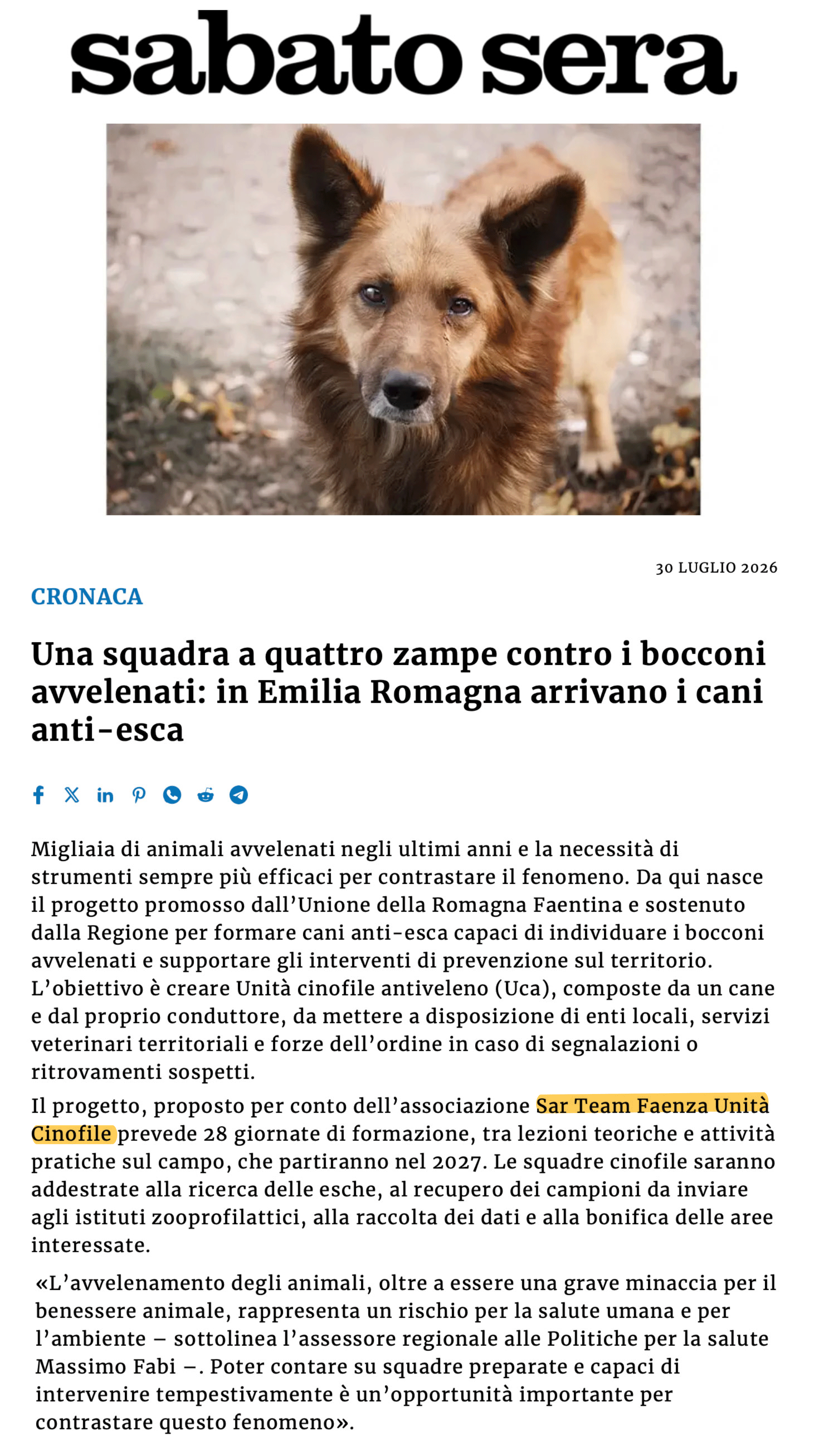 unità-cinofile-antiveleno-sar-team-faenza unità-cinofile-antiveleno-sar-team-faenza
