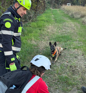 19b6414a-26af-4634-811e-3704423560bd