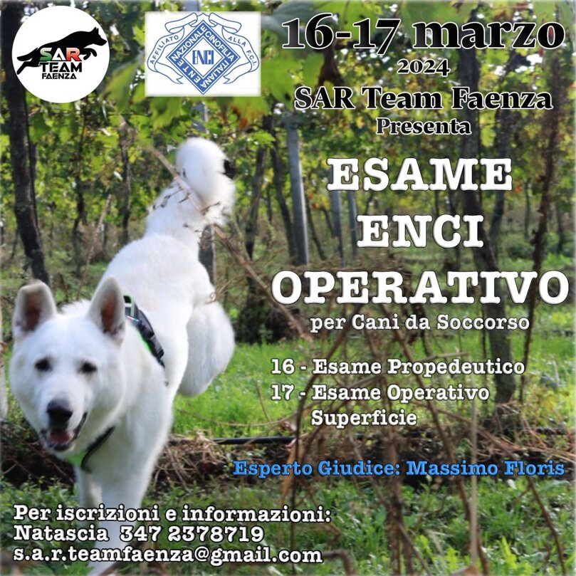 photo-2024-01-26-21-52-41.jpeg photo-2024-01-26-21-52-41.jpeg