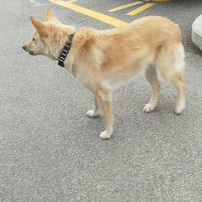 0ae13706-a7f9-4604-9d60-8298c67fc966