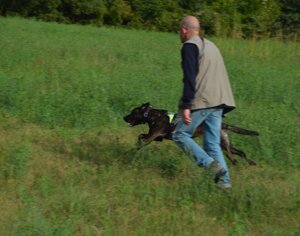 faed5dd0-d7e1-4367-af8e-8bfc0b326f57