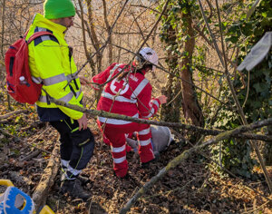 f382a52f-ddfa-427b-9507-0fc27aa4ddd5