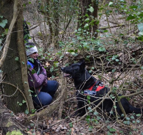 c581c337-a6ac-47cf-9702-6f4387c491ae