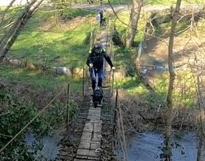 Addestramento cani Sar Team Faenza su ponte tibetano
