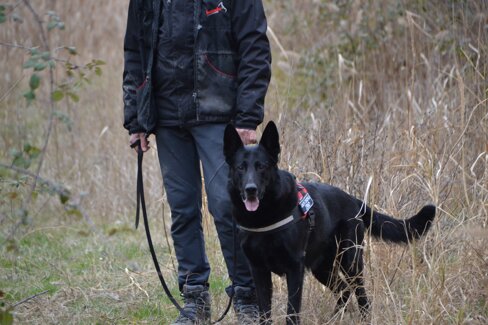 b7b7db8e-5804-46e1-bf55-b772f7c903e6