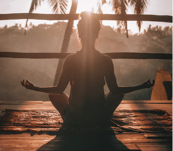wellness-2 wellness-2