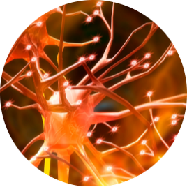 cbe3df44-7b86-48a9-8829-f5456a7c7104