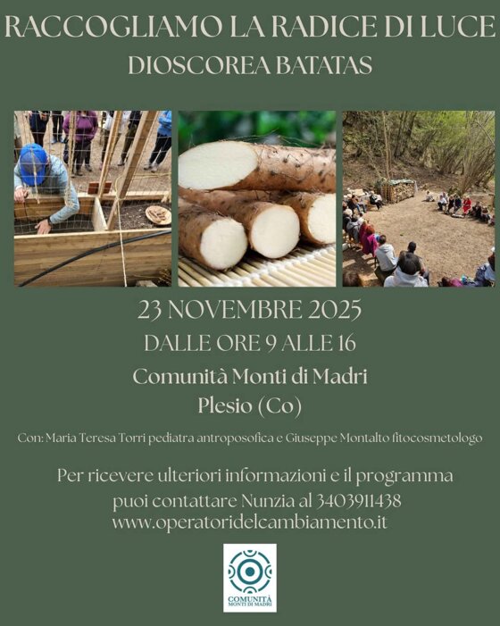 cdf244f8-23d0-41cb-818a-1238e22ba5d6 cdf244f8-23d0-41cb-818a-1238e22ba5d6