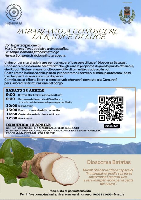 8a1d4b98-b17e-4f15-b81e-e41605677ce3 8a1d4b98-b17e-4f15-b81e-e41605677ce3