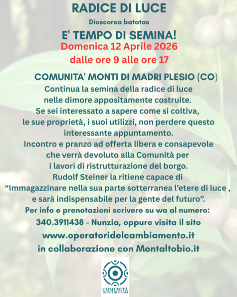 radice di luce e' tempo di semina!