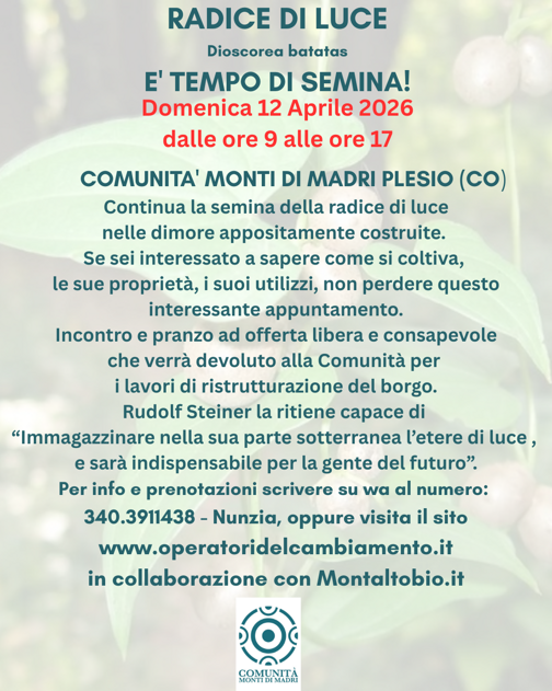 radice di luce e' tempo di semina!