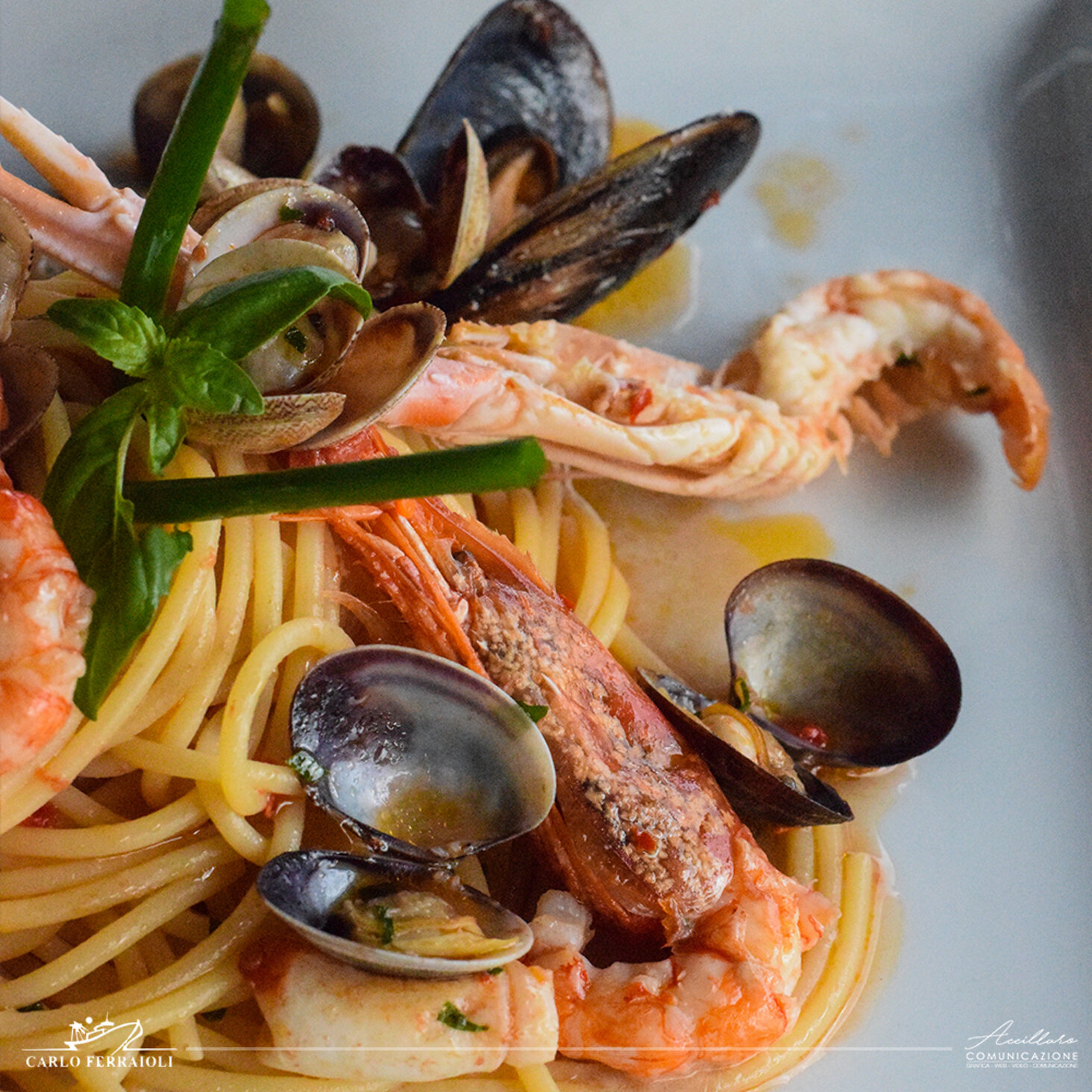 ba06a747-a550-49e7-a042-29a85c7a6da5