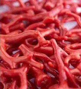 3b0ba3b8-107e-44f7-9a94-4df45730eb6e.jpeg 3b0ba3b8-107e-44f7-9a94-4df45730eb6e.jpeg