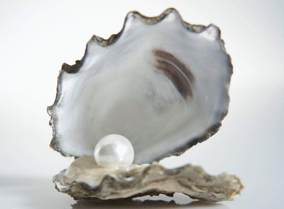 f646f5e0-683e-45f2-9233-c2cc0e084541.jpeg f646f5e0-683e-45f2-9233-c2cc0e084541.jpeg