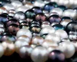 1e7a20f6-02ef-4ef5-babe-077c94fd6364.jpeg 1e7a20f6-02ef-4ef5-babe-077c94fd6364.jpeg