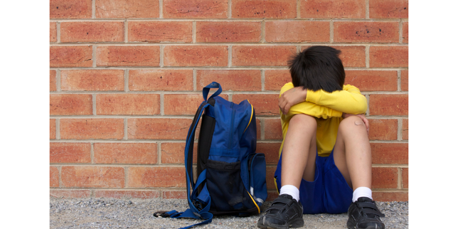 0c5f1146-3dc9-4b75-b9d6-323f39c8dd36 0c5f1146-3dc9-4b75-b9d6-323f39c8dd36